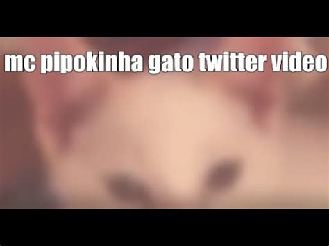 mc pipokinha video dos gatos|VÍDEO – MC Pipokinha aparece “amamentando” gato e pode ser。